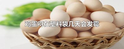 ​鸡蛋闷在塑料袋几天会发霉