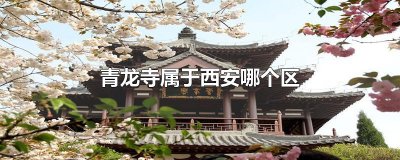 ​青龙寺属于西安哪个区