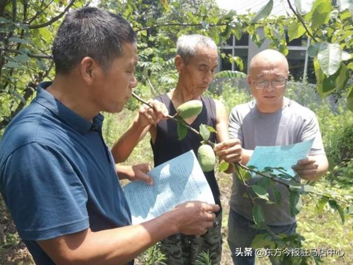 整脏治乱工作总结（强力推进扫黑除恶工作总结）