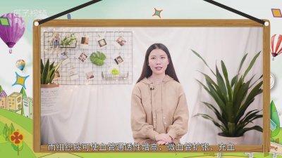 ​鱼是发物吗