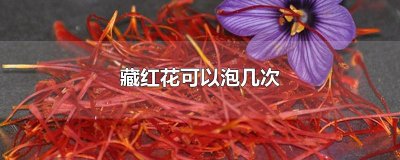 ​藏红花可以泡几次