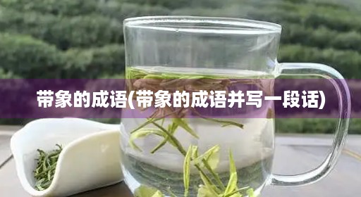 带象的成语(带象的成语并写一段话)