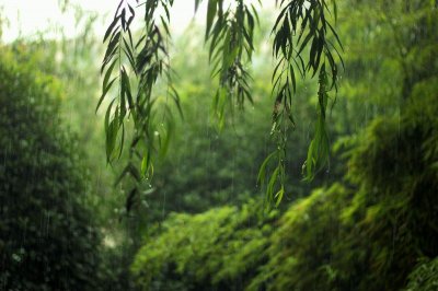 ​深圳梅雨季节是什么时间