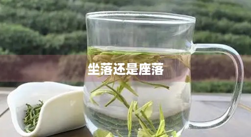 坐落还是座落