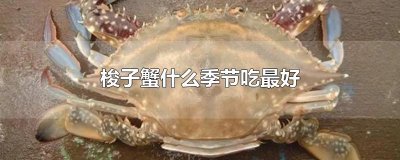 ​梭子蟹什么季节吃最好