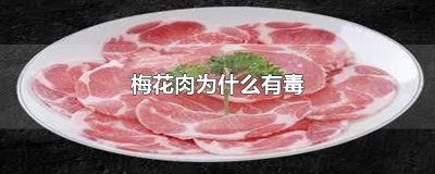 ​梅花肉为什么有毒