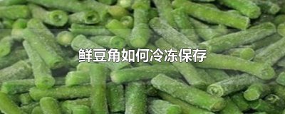 ​鲜豆角如何冷冻保存