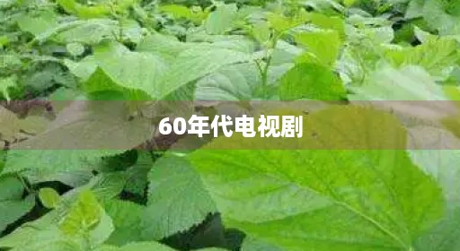 60年代电视剧