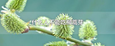 ​什么人不能吃柳蒿芽