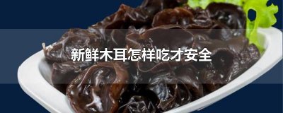 ​新鲜木耳怎样吃才安全