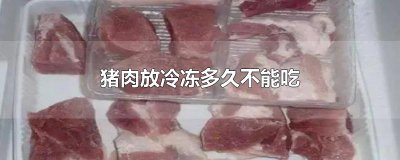 ​猪肉放冷冻多久不能吃