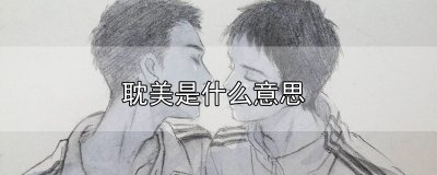 ​耽美是什么意思