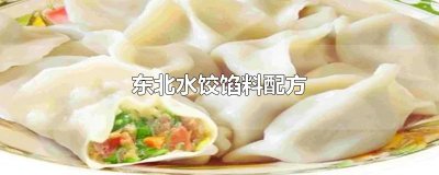 ​东北水饺馅料配方