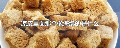 ​凉皮里面那个像海绵的是什么