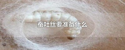 ​蚕吐丝要准备什么