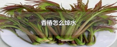 ​香椿怎么焯水