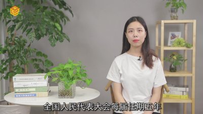 ​全国人民代表大会几年一次