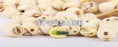 ​莲子苦是怎么回事