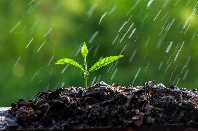 ​雨水节气的特点和风俗 雨水节气的物候现象