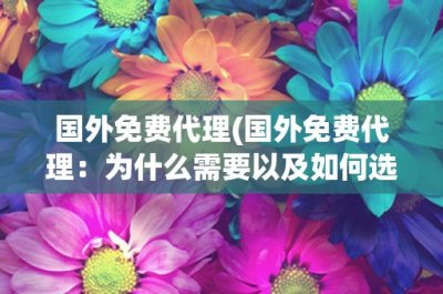 ​国外免费代理(国外免费代理：为什么需要以及如何选择)