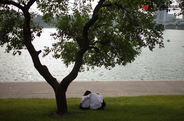 二婚真的不会比一婚幸福吗（为什么常言说二婚夫妻）(6)