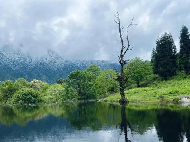 乐山峨眉山风景区简介（四川乐山市十二大旅游景点）(11)