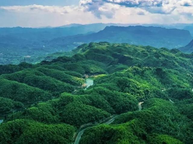 乐山峨眉山风景区简介（四川乐山市十二大旅游景点）(10)