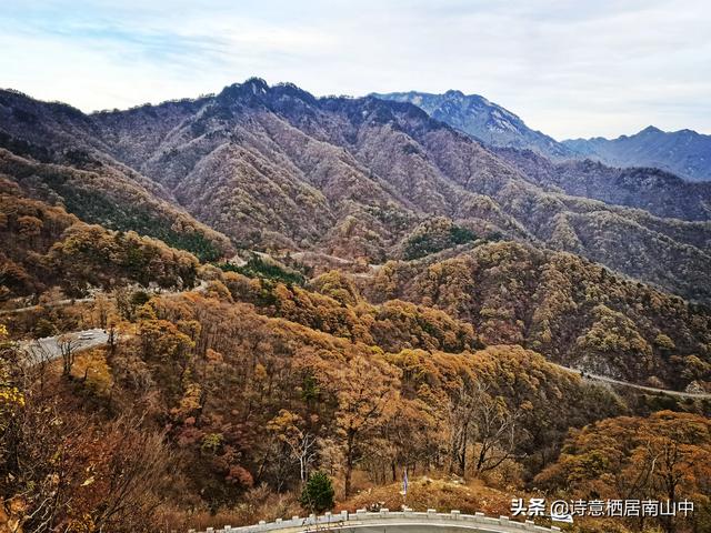 天堂寨旅游全攻略（天堂寨秋景值得一游）(35)