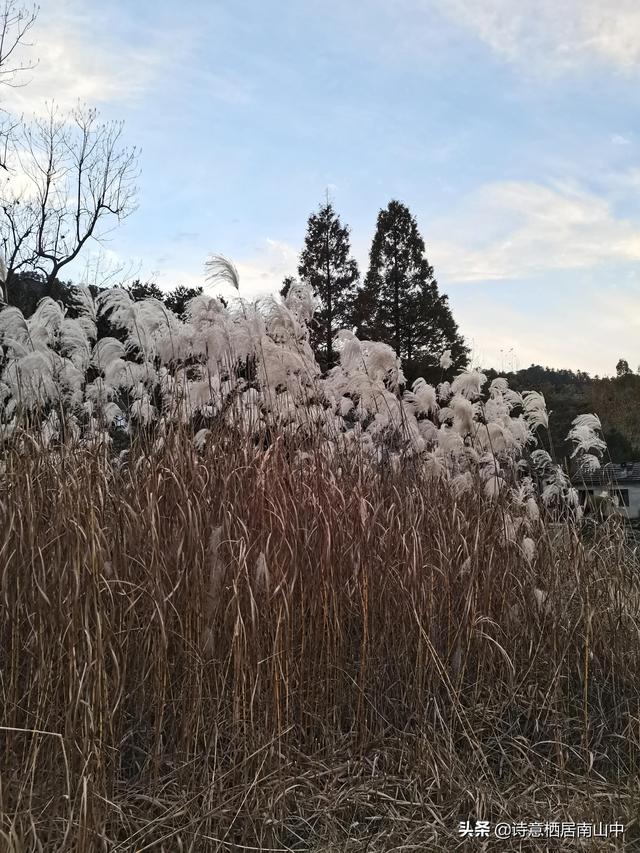 天堂寨旅游全攻略（天堂寨秋景值得一游）(34)