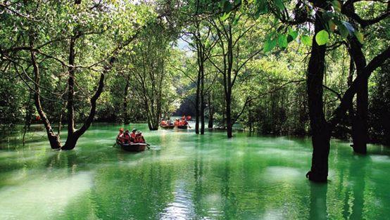 荔波旅游最全攻略住宿（五一去哪儿遇见荔波）(11)