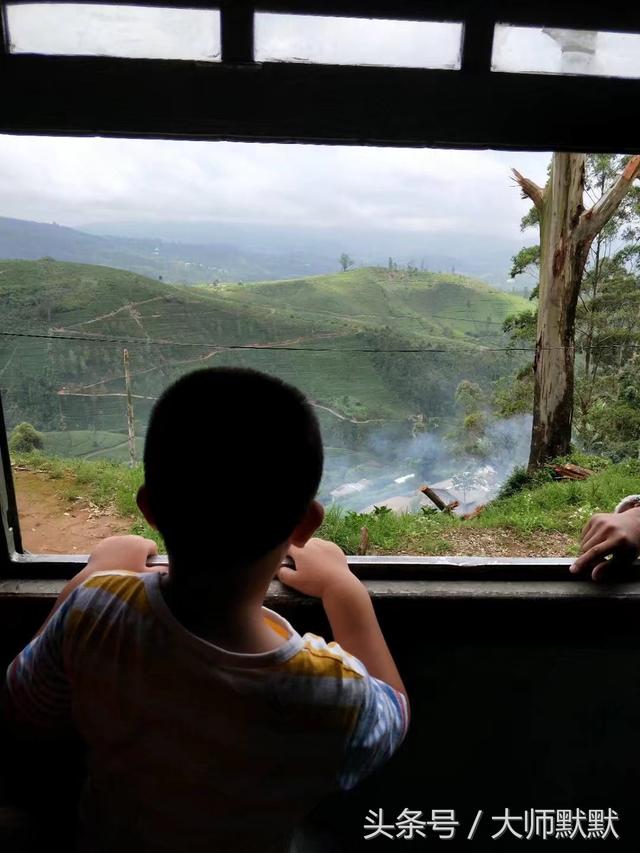 到斯里兰卡旅游的签证要求（旅行达人教你怎么玩斯里兰卡）(31)