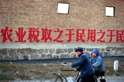 ​农业税是从什么时候逐步取消的（农业税取消16年如今卷土重来）