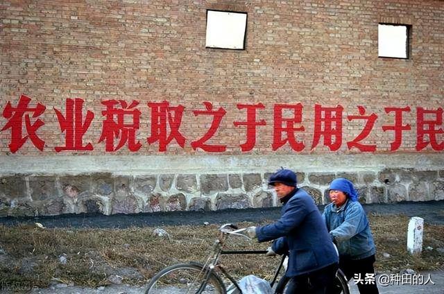 农业税是从什么时候逐步取消的（农业税取消16年如今卷土重来）(1)