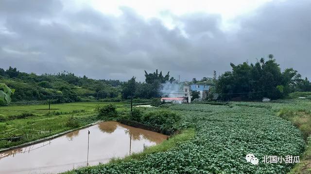 四川泸县6.0级地震市民态度（四川泸县地震3死146伤）(10)