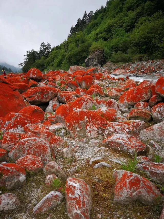 大夏天最适合旅游的地方（9个适合夏天去的绝美旅行地）(44)