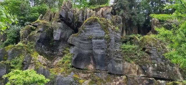 大夏天最适合旅游的地方（9个适合夏天去的绝美旅行地）(31)