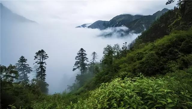 大夏天最适合旅游的地方（9个适合夏天去的绝美旅行地）(14)