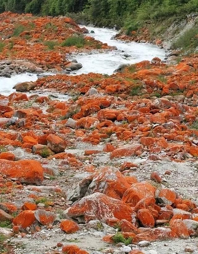 大夏天最适合旅游的地方（9个适合夏天去的绝美旅行地）(42)