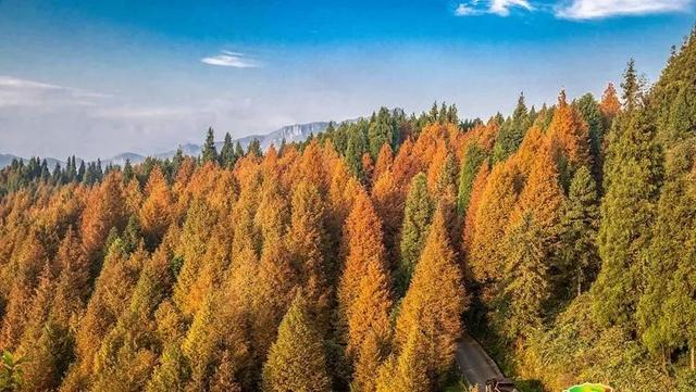 大夏天最适合旅游的地方（9个适合夏天去的绝美旅行地）(33)