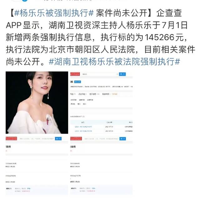 杨乐乐和汪涵是几婚（结婚15年汪涵抱怨不是好妻子）(2)