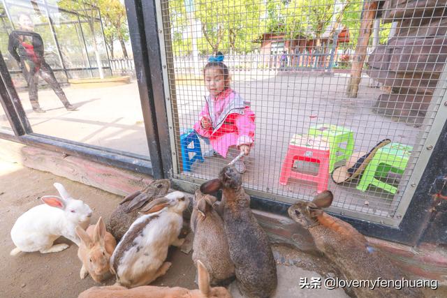 安吉旅游攻略必去景点推荐（浙江安吉是性价比最高的乐园）(16)