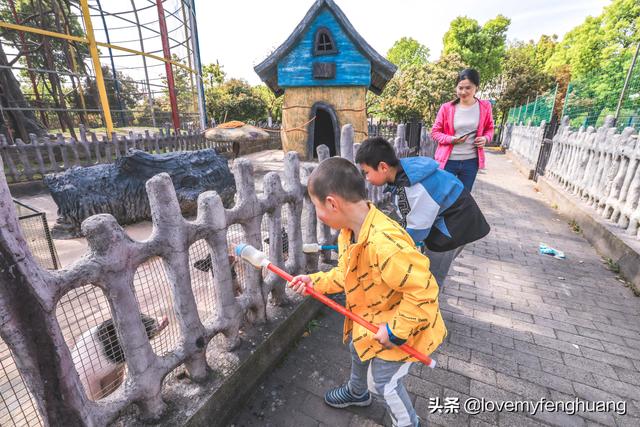 安吉旅游攻略必去景点推荐（浙江安吉是性价比最高的乐园）(20)