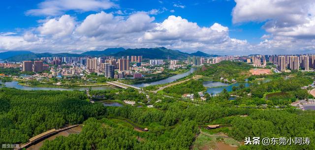 惠州十大旅游景点排名（半城山色半城湖-惠州）(5)