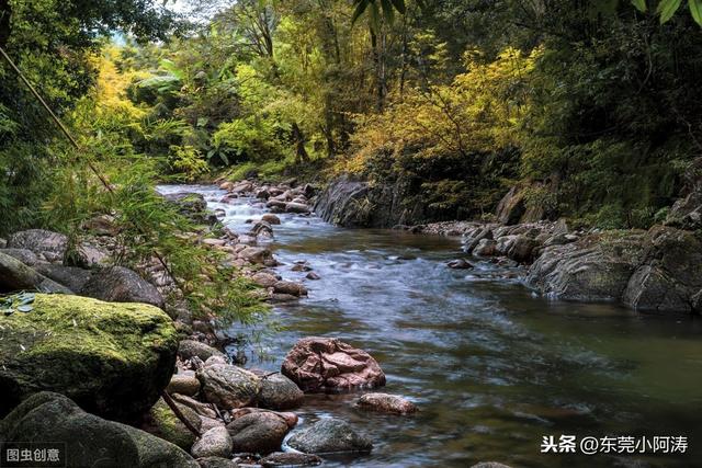 惠州十大旅游景点排名（半城山色半城湖-惠州）(6)