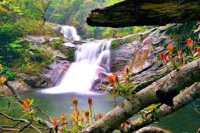 永州市阳明山旅游攻略（被誉为湖南九寨沟）(4)