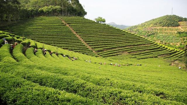 广东十大旅游景点（广东十大经典旅游景点）(9)