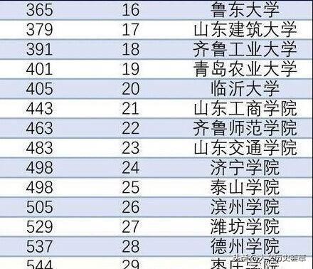 山东最好的十所大学排名（山东省最新44所大学排名）(16)