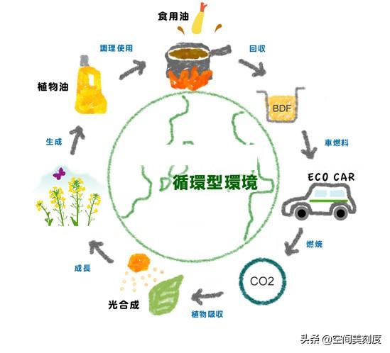 地沟油是怎么处理的（图解地沟油的形成和再利用）(8)