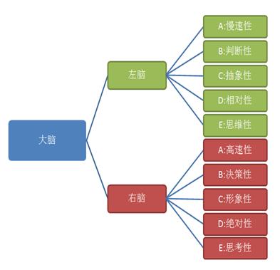 左右脑代表啥（左右脑的特性）(2)