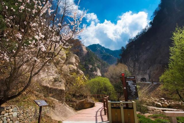 河南景区免门票方法（河南这么多景区免门票）(9)